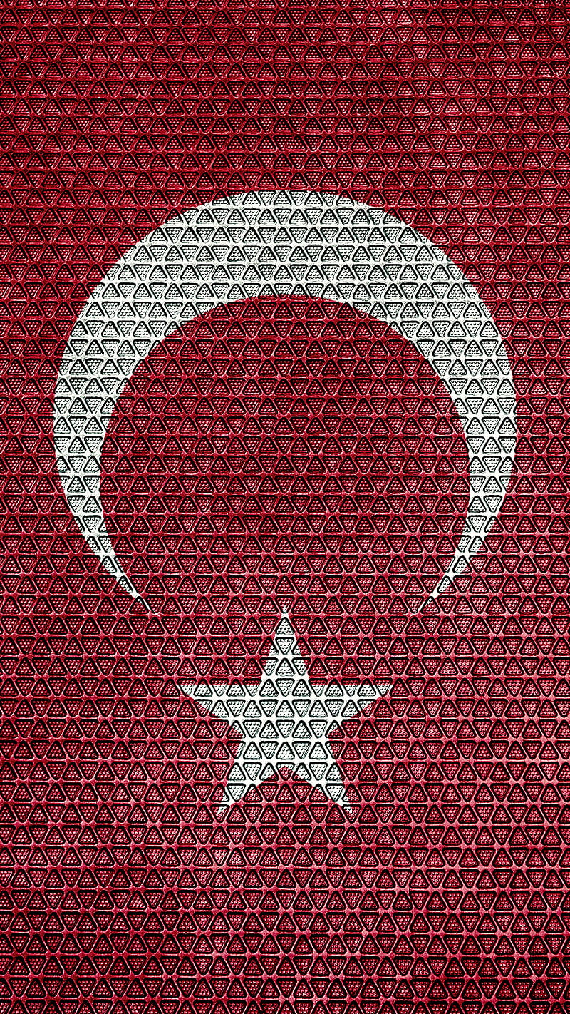 Turk Bayragi, flag, flag, moon star, turkey, turkish, turk bayragi, turks, wolf, HD phone wallpaper