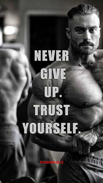 Never Give Up, nevergiveup, fitness, motivation, gym, bodybuilding,  powerlifting, HD phone wallpaper | Peakpx