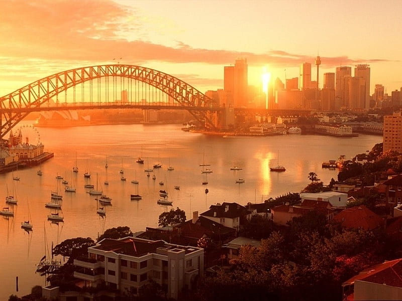 sydney sunset, city, harbour, bridge, sunset, sydney, HD wallpaper