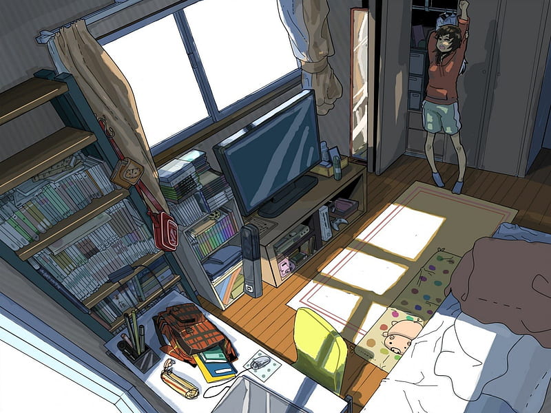 Anime Room, female, books, food, video games, blanket, bookcase, tv, bed,  computer, HD wallpaper | Peakpx