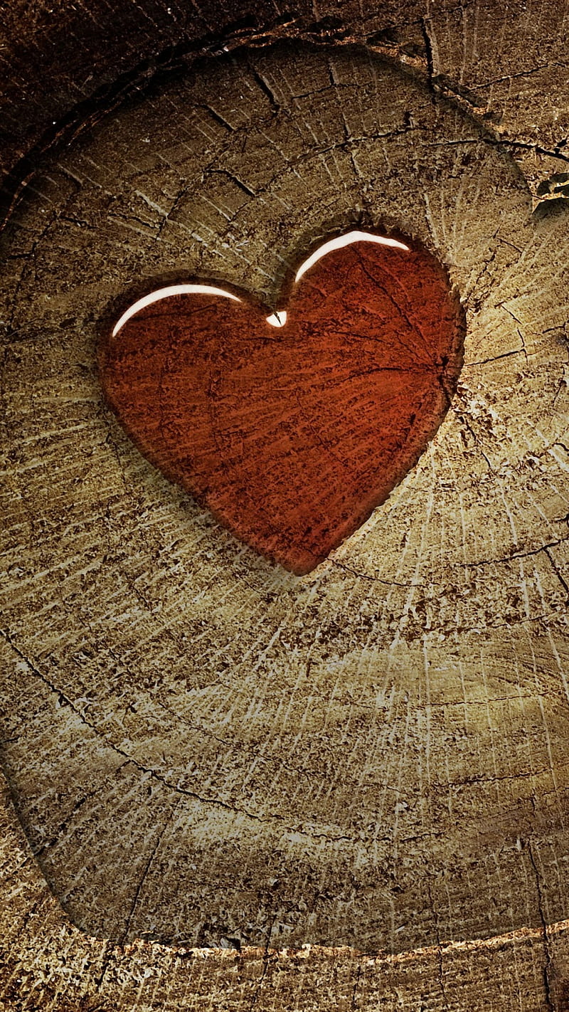 Heart, best, cool, love, nature, new, nice, sup, super, sweet, tree, wood,  HD phone wallpaper | Peakpx