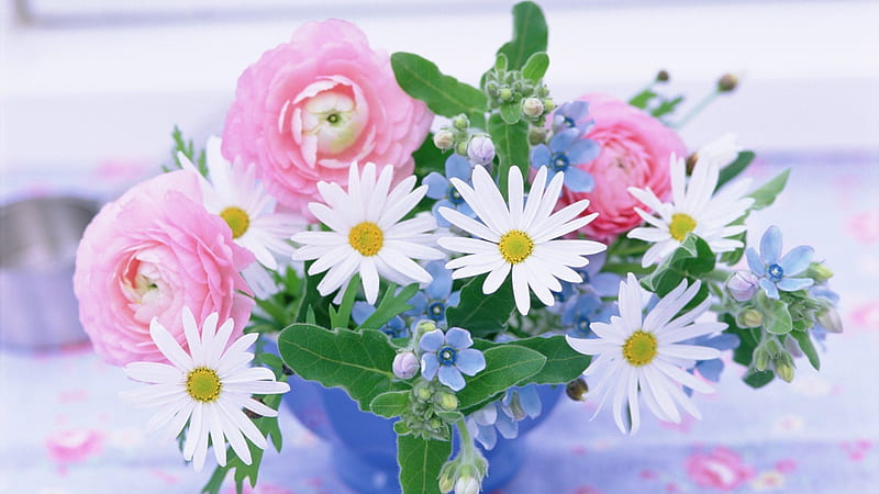 Chamomile, flowers, chamomile, colors, flowers, bouquet, HD wallpaper