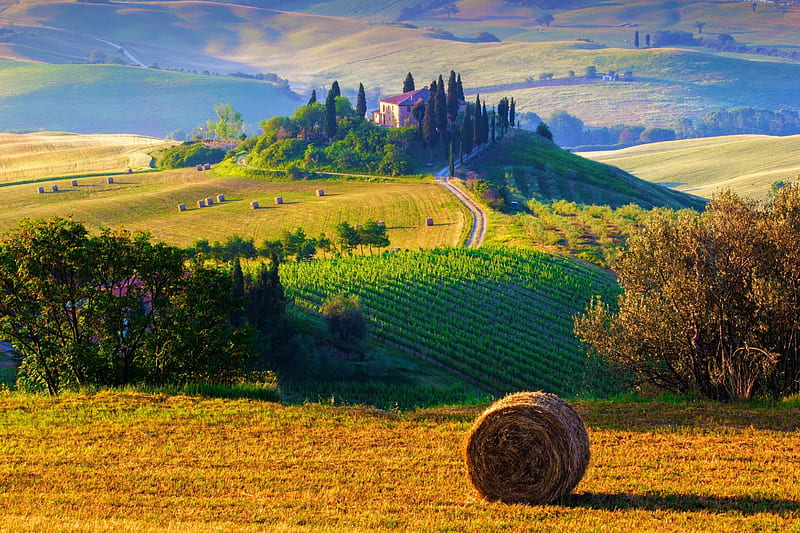 Landscape, hills, grass, sky, clouds, italia, splendor, nature, morning, toscana, field, italy, HD wallpaper