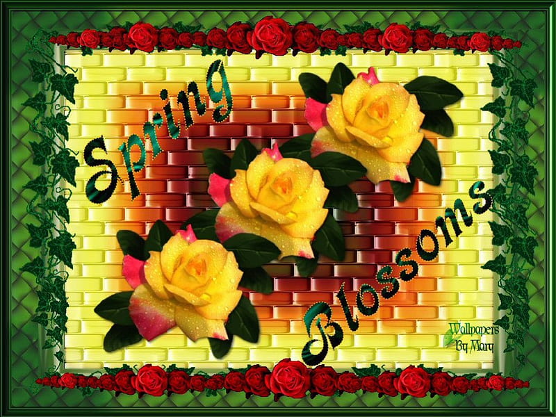 Brick Wall, bricks, flowers, blossoms, spring, roses, HD wallpaper