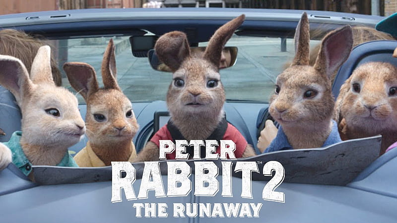 Daisy Ridley Rose Byrne Domhnall Gleeson James Corden Margot Robbie Peter Rabbit 2 The Runaway, HD wallpaper