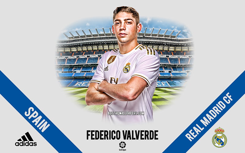 Federico Valverde, Real Madrid, portrait, Uruguayan footballer, midfielder, La Liga, Spain, Real Madrid footballers 2020, football, Santiago Bernabeu, HD wallpaper