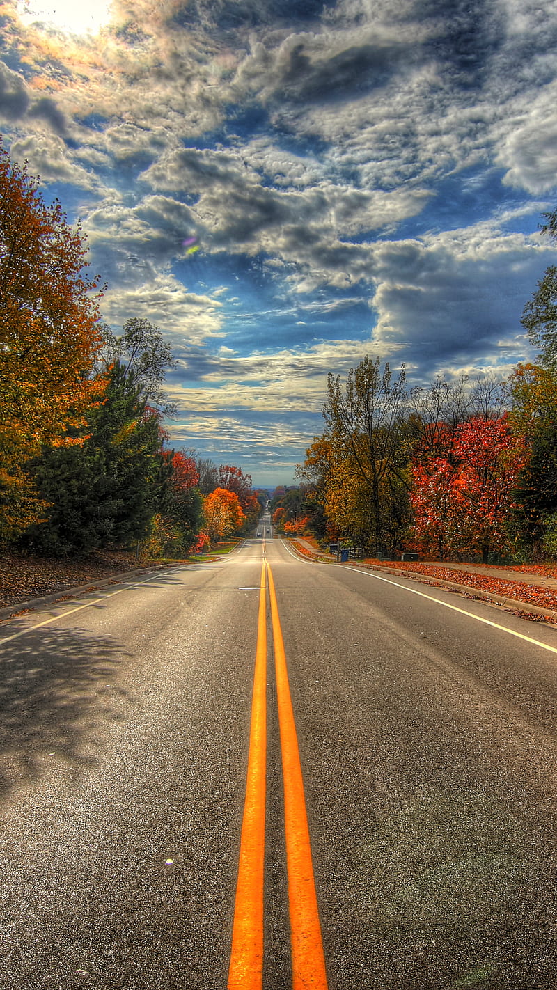 Nature , road, tree, fall, foliage, cloud, HD phone wallpaper
