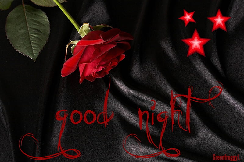 Good Night Free Hd Wallpaper Download Latest Images