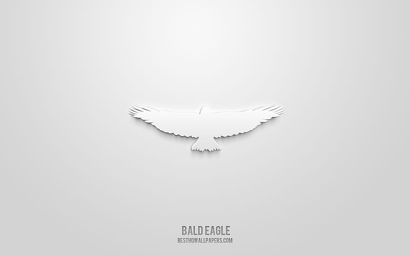 Bald eagle 3d icon, white background, 3d symbols, Bald eagle, creative 3d art, 3d icons, Bald eagle sign, Animals 3d icons, HD wallpaper