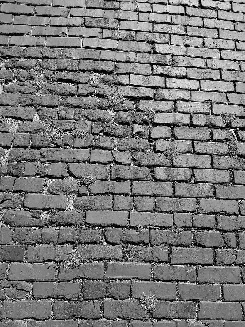 Black and white, art, brick, bricks, classic, s8, saver, urban, wall, HD phone wallpaper