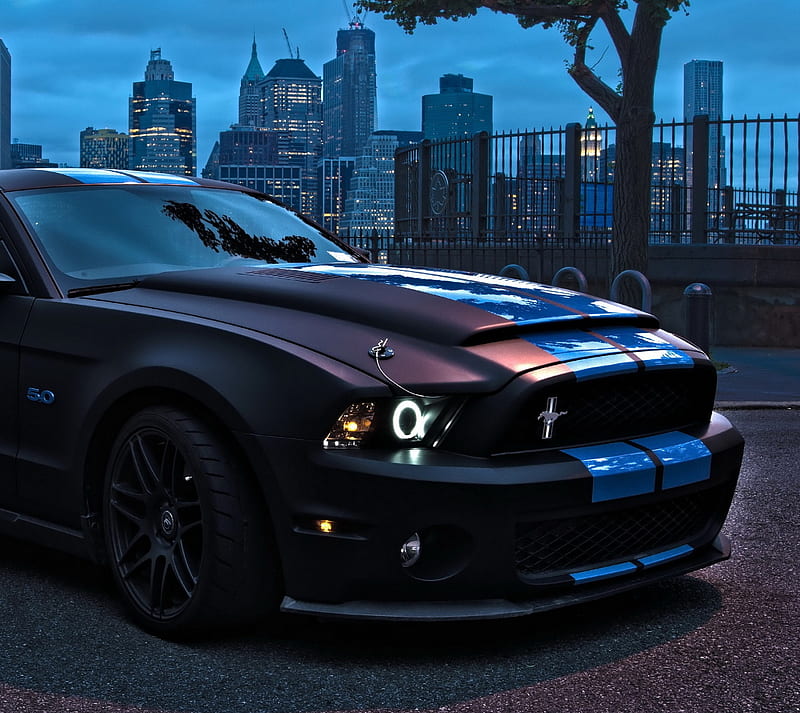 Ford Mustang, auto, car, ford, mustang, shelby, sport, vehicle, HD wallpaper
