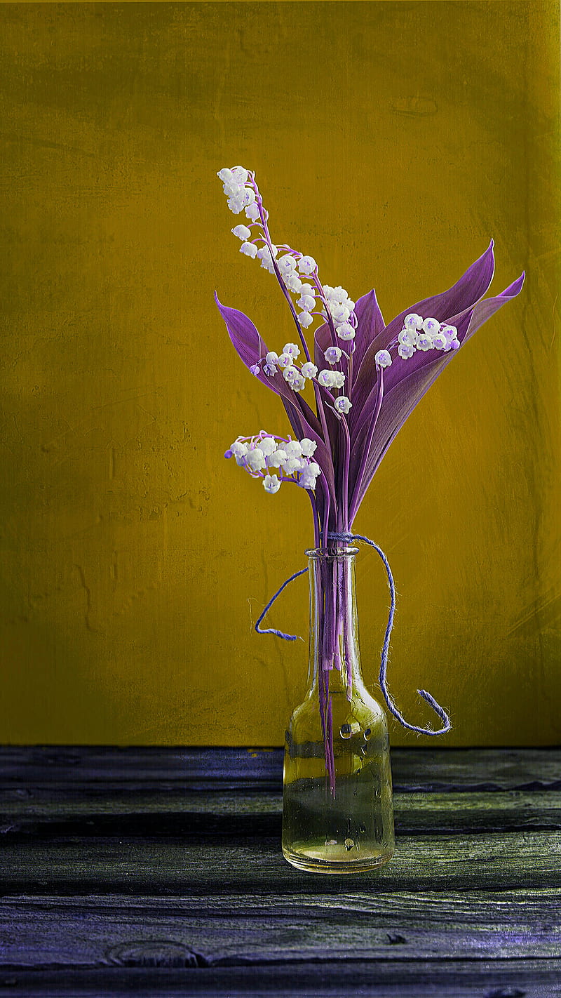 flowers in the vase, flower, leaf, purple, vase, wall, white, wood, yellow, HD phone wallpaper