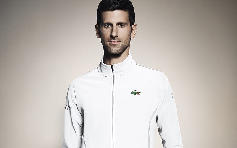 Novak Djokovic, Serbian tennis player, portrait, sportsmen, tennis, HD wallpaper
