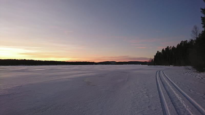 Winter evening, dusk, foreste, norrland, sno, sweden, tracks, vinter, HD wallpaper