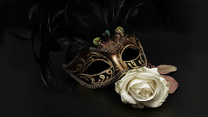 Mask & Rose, rose, Mardi Gra, masquerade, February, white rose, Carnival, fancy, mask, Firefox Persona theme, feathers, HD wallpaper
