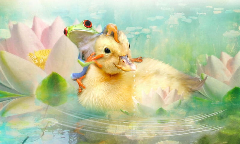 Hitching a Ride, frog, water, duck, cuteness, pastel, Duckling, softness, sweet, HD wallpaper