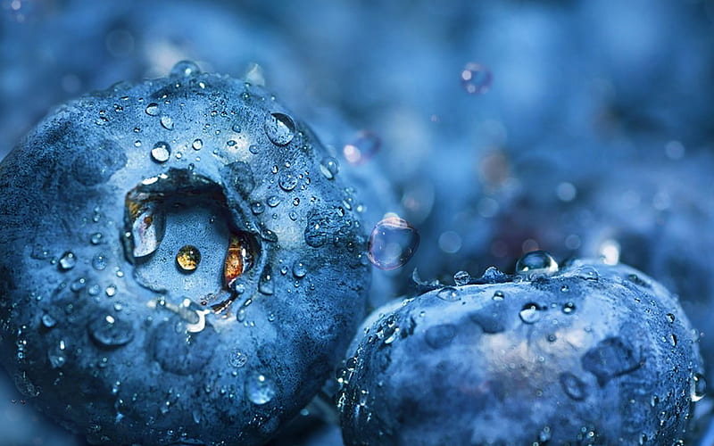 Blueberries, water drops, berries, macro, blue berries, HD wallpaper
