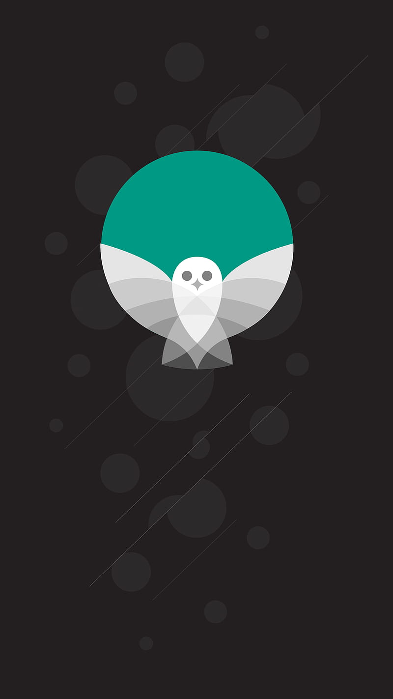 Birdy, android, bird, birds, google, ios, owl, pizza, HD phone wallpaper