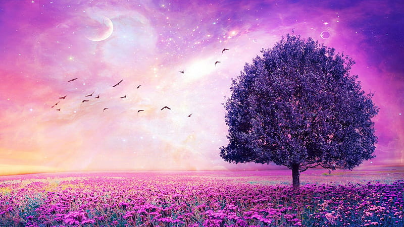 Purple Trees Plants Clouds Sky Background Purple, HD wallpaper
