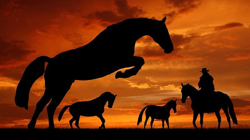Details about   Cowboys Sunset Forest Horse HD POSTER 