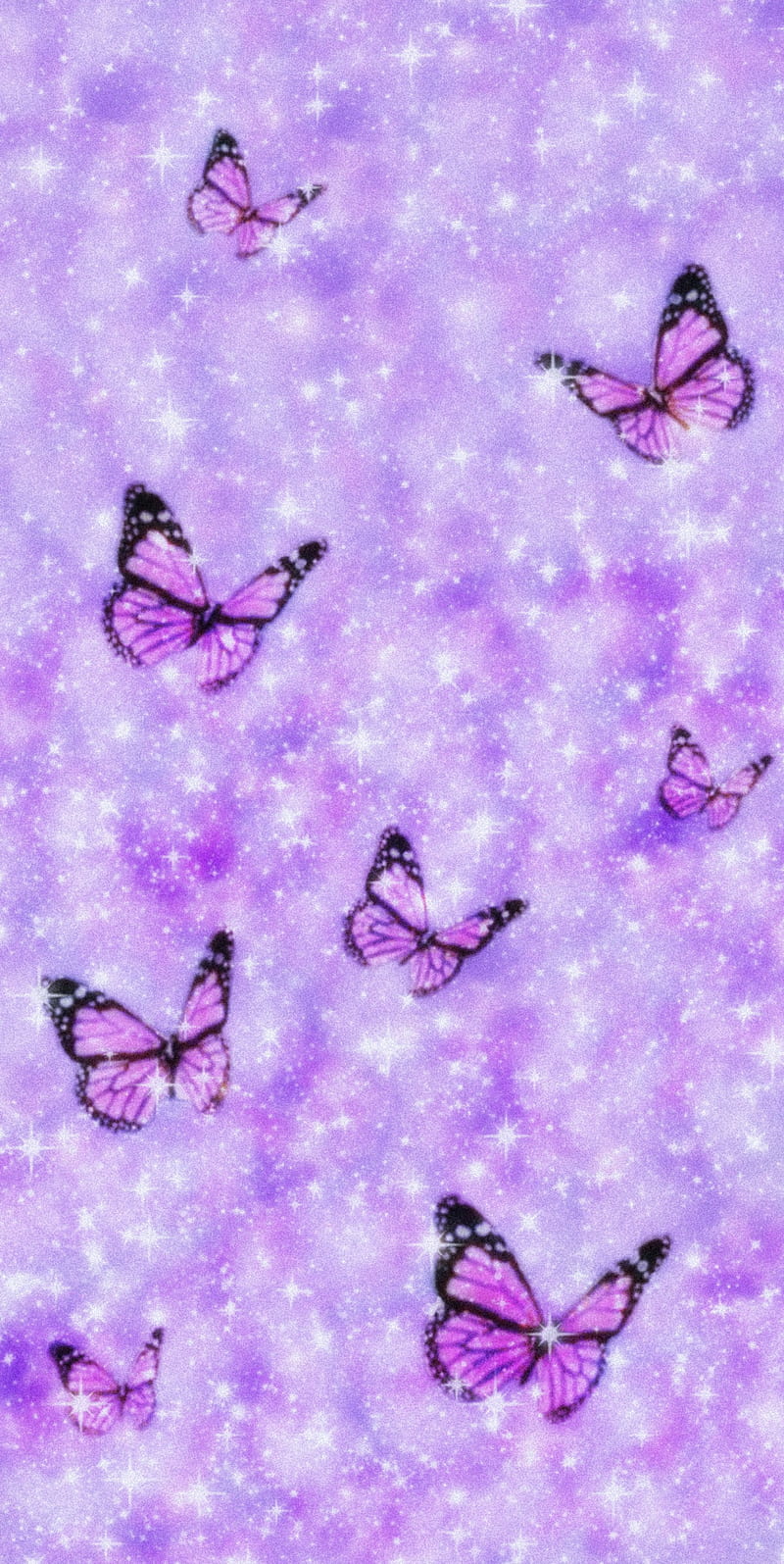 Wallpaper Blue and Purple Butterflies on White Background Background   Download Free Image