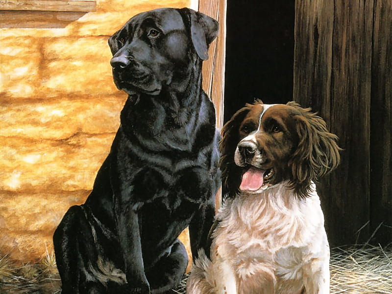 Hemming-Nigel-Black-Lab-And-Spaniel, spaniel, puppy, lab, dog, HD wallpaper