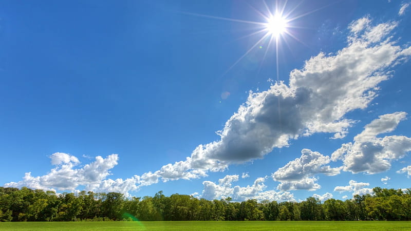 Sunny Day, sun, country, trees, sky, clouds, living, green, day, nature, white, field, light, blue, HD wallpaper