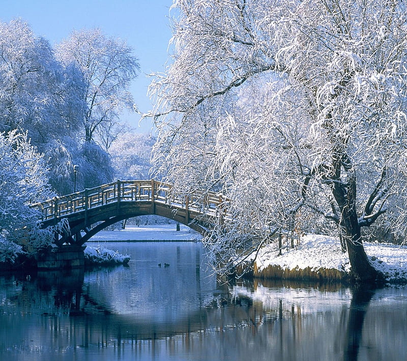 bridge snow, new, snowy, view, winter, HD wallpaper