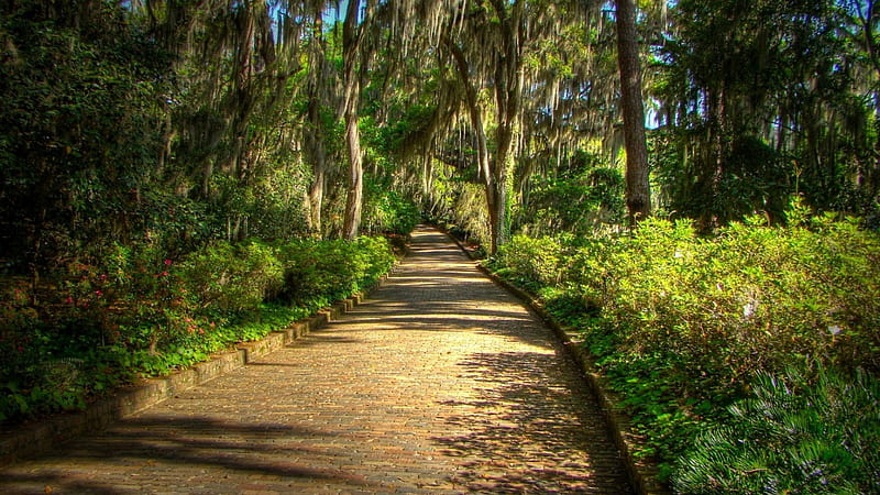 gorgeous mcclay gardens tallahassee florida r, bricks, gardens, path, r, park, HD wallpaper