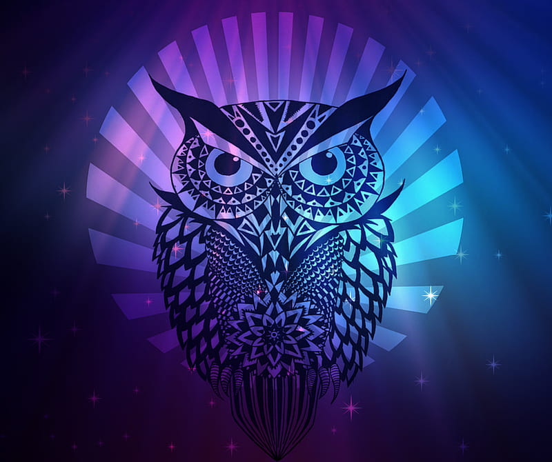 Owl, galaxy, purple, sowa, HD wallpaper
