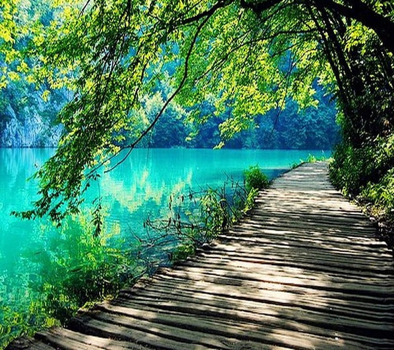 amazing nature, bonito, lake, path, scenery, HD wallpaper
