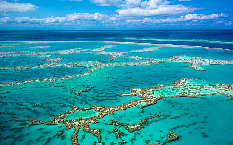 Great Barrier Reef Coral Sea, Whitsunday Island, Australia, HD wallpaper