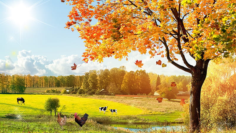Bright Fall Day, fall, autumn, country, trees, horse, pond, farm, leaves, chickens, field, cows, HD wallpaper