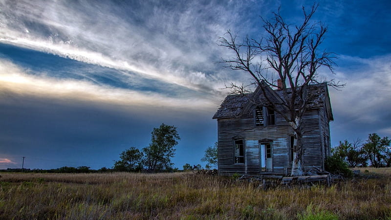 old abandoned house, tree, house, grass, clouds, old, abandoned, HD wallpaper