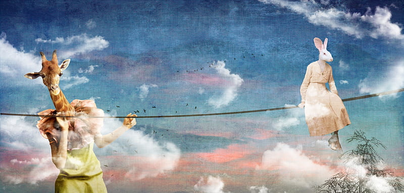 :-), rabbit, cloud, sky, fantasy, bunny, funny, giraffe, white, blue, HD wallpaper