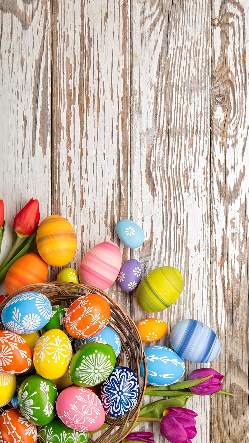 Easter bunny dark eggs happiness happy happy Easter holiday rabbits  religion HD phone wallpaper  Peakpx