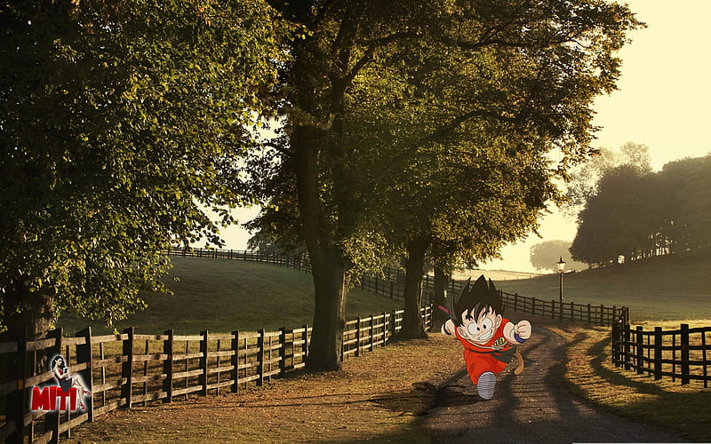 Goku Sunset Cartoon Characters The Third Series Preview, HD wallpaper