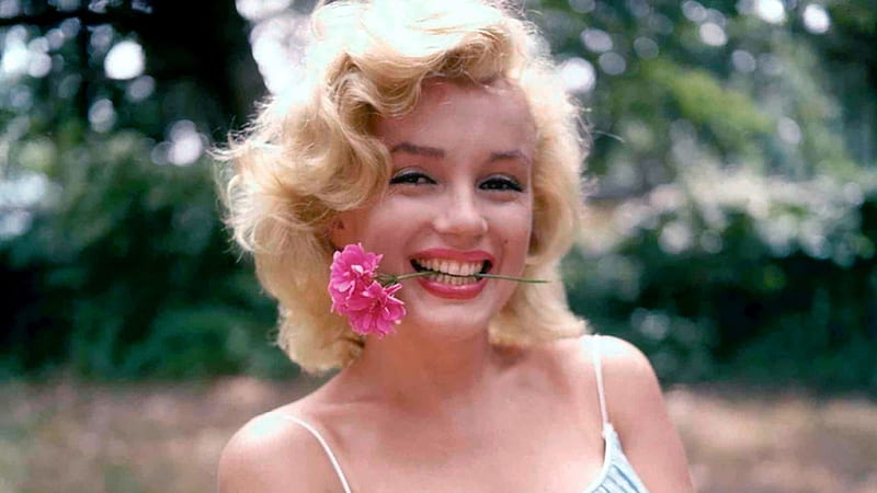  Marilyn Monroe, niña, actriz, rubia, flor, rosa, mujer, Fondo de pantalla HD