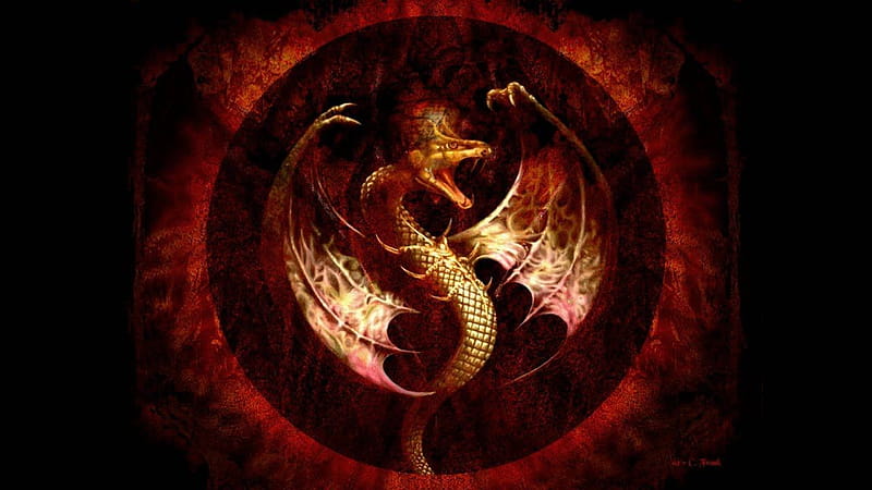 50 Beautiful Dragons, dangerous dragon, HD wallpaper | Peakpx
