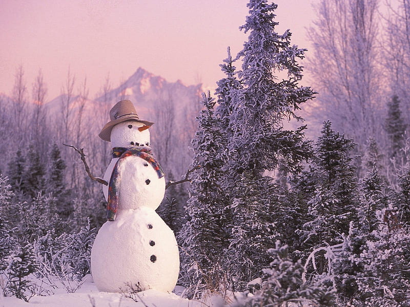 Funny snowman / Lustiger Schneemann, silent, holidays, christmas, holiday, snowman, x-mas, xmas, winter, cold, merry christmas, snow, feast, HD wallpaper