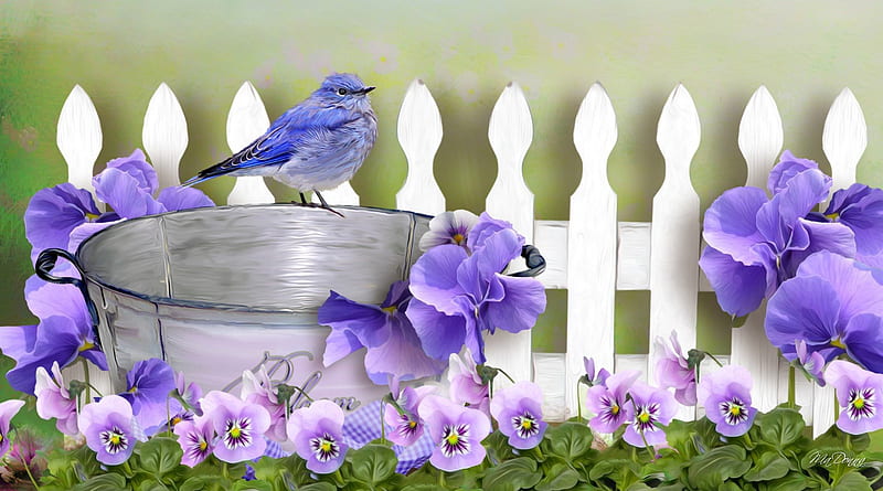 Pride for Pansies, fence, grass, pail, purple, bird, summer, pansies, flowers, violet, HD wallpaper