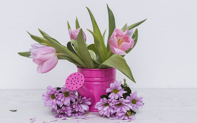 pink tulips, spring decoration, gerberas, tulips, spring, HD wallpaper