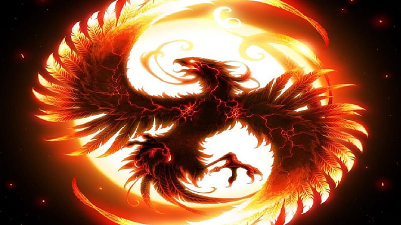 Phoenix Rising, fantasy, bird, orange, myth, Phoenix, HD wallpaper
