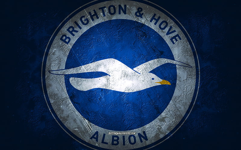 Brighton Hove Albion FC, English football club, blue stone background, Brighton Hove Albion FC logo, grunge art, Premier League, football, England, Brighton Hove Albion FC emblem, HD wallpaper