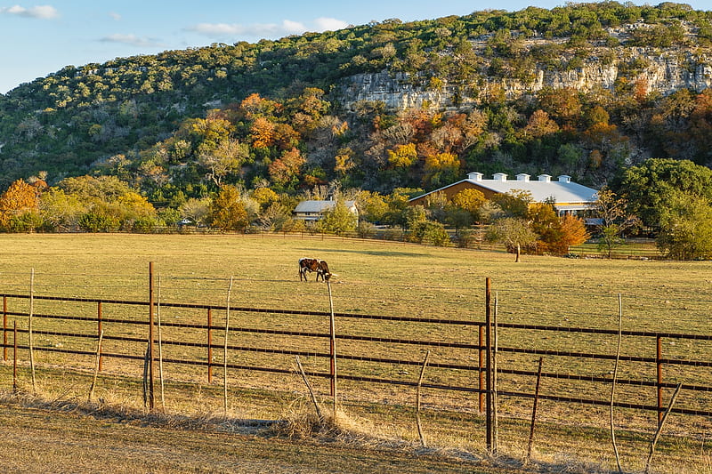 Autumn Ranch in Texas, Ranches, Nature, Texas, Landscape, Fields, Autumn, HD wallpaper