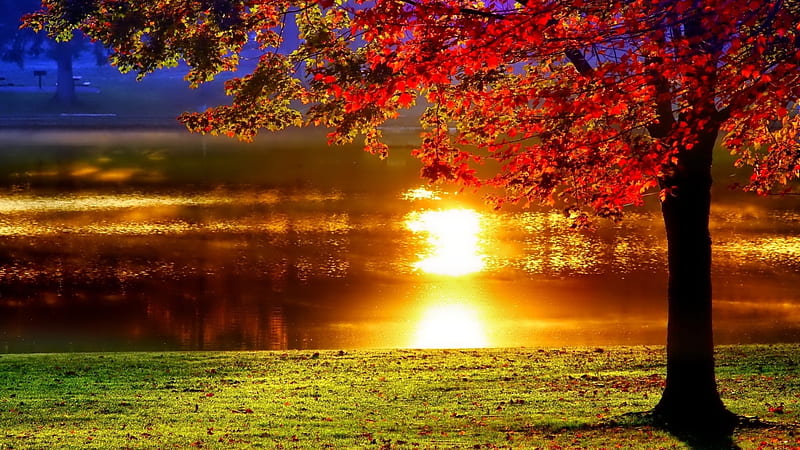 Lakeside Sunset Reflection, nature, sunset, trees, reflection, lake, HD wallpaper