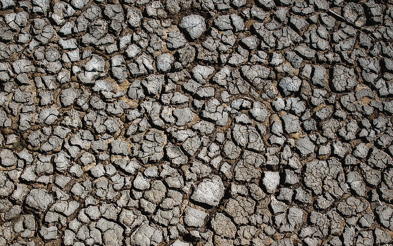 Dried Ground texture, dried earth texture, drought concepts, cracked Ground texture, cracked desert texture, HD wallpaper