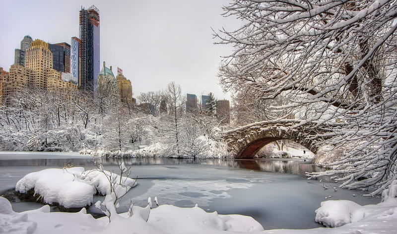 New York in Winter, skyscraper, snow, bridge, river, trees, HD wallpaper |  Peakpx