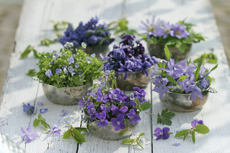 ~✿~ Variety of tiny flowers ~✿~, pretty, variety, lovely, fresh, home, small, sweet, silver vase, tiny, purple, healthy energy, plants, flowers, nature, HD wallpaper