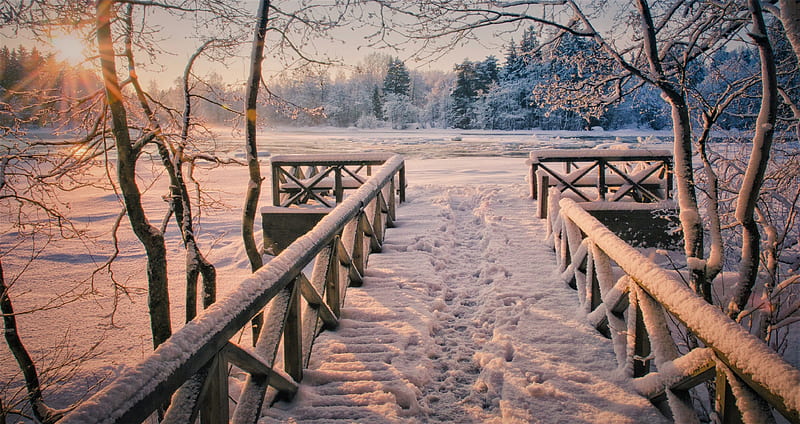 wooden bridge, snow, bridge, trees, winter, HD wallpaper